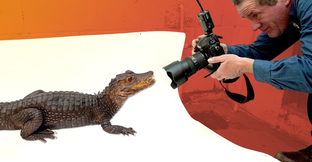 Gelmiş Geçmiş En İyi İş