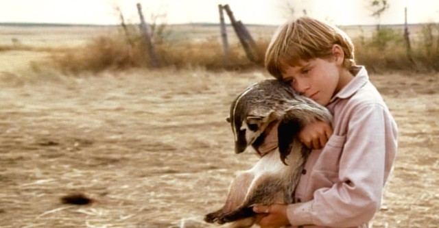 The Boy Who Talked to Badgers