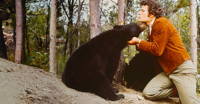 Mes amis les ours