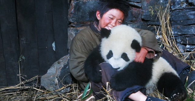 Un panda per amico