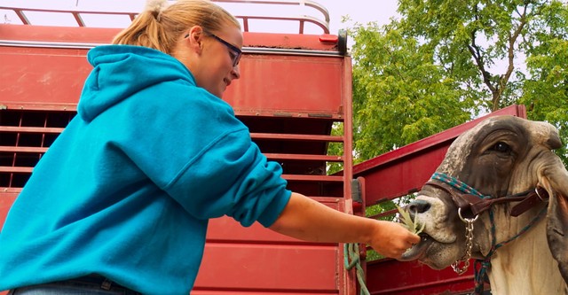 The Incredible Dr. Pol Blue Ribbon Kids