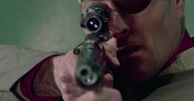 The Hired Killer