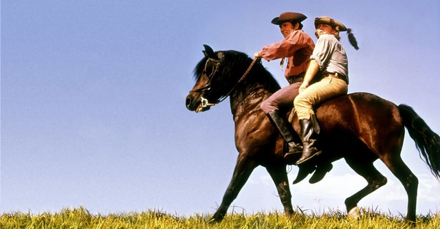 Justin Morgan tenía un caballo