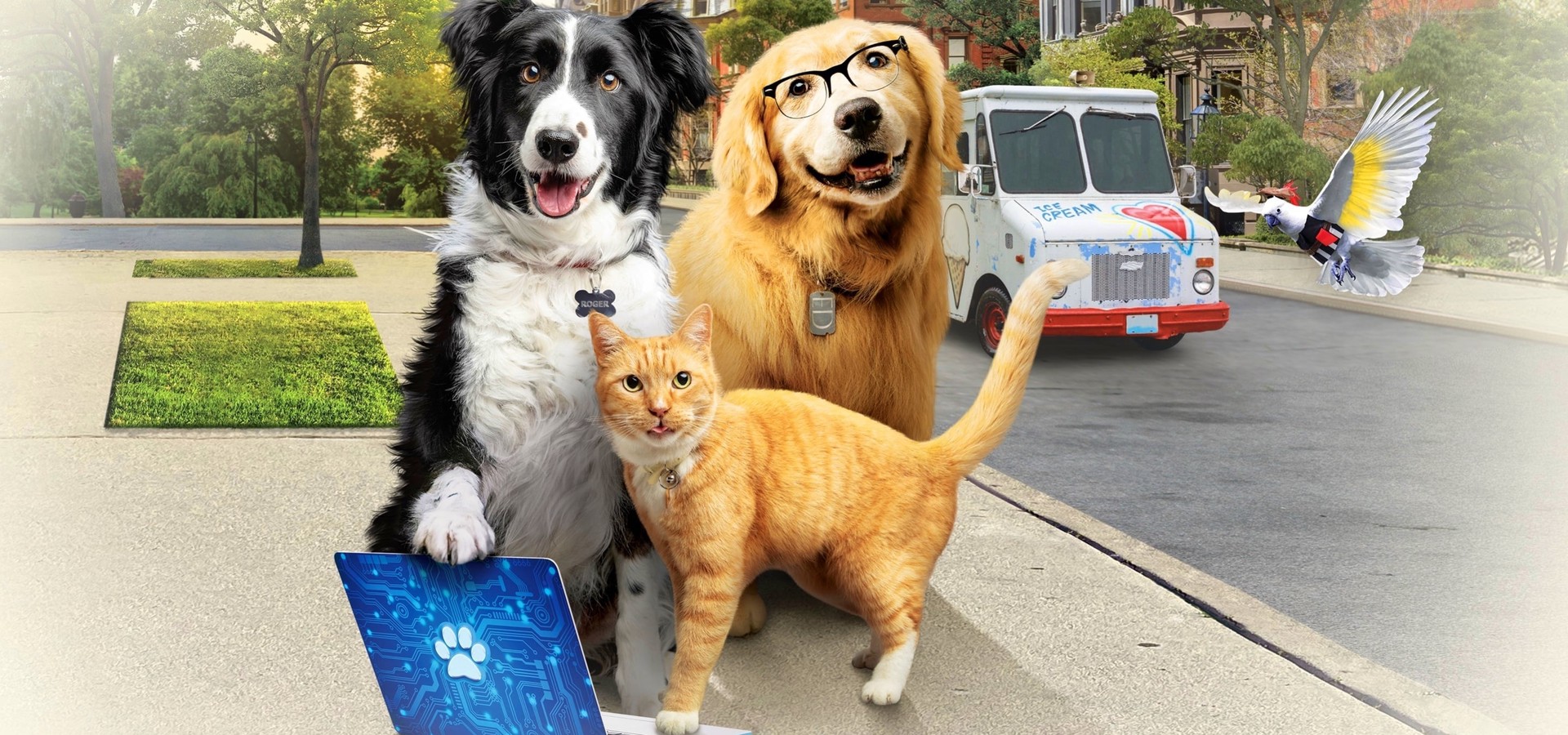 Cats & Dogs 3 Paws Unite filme Onde assistir