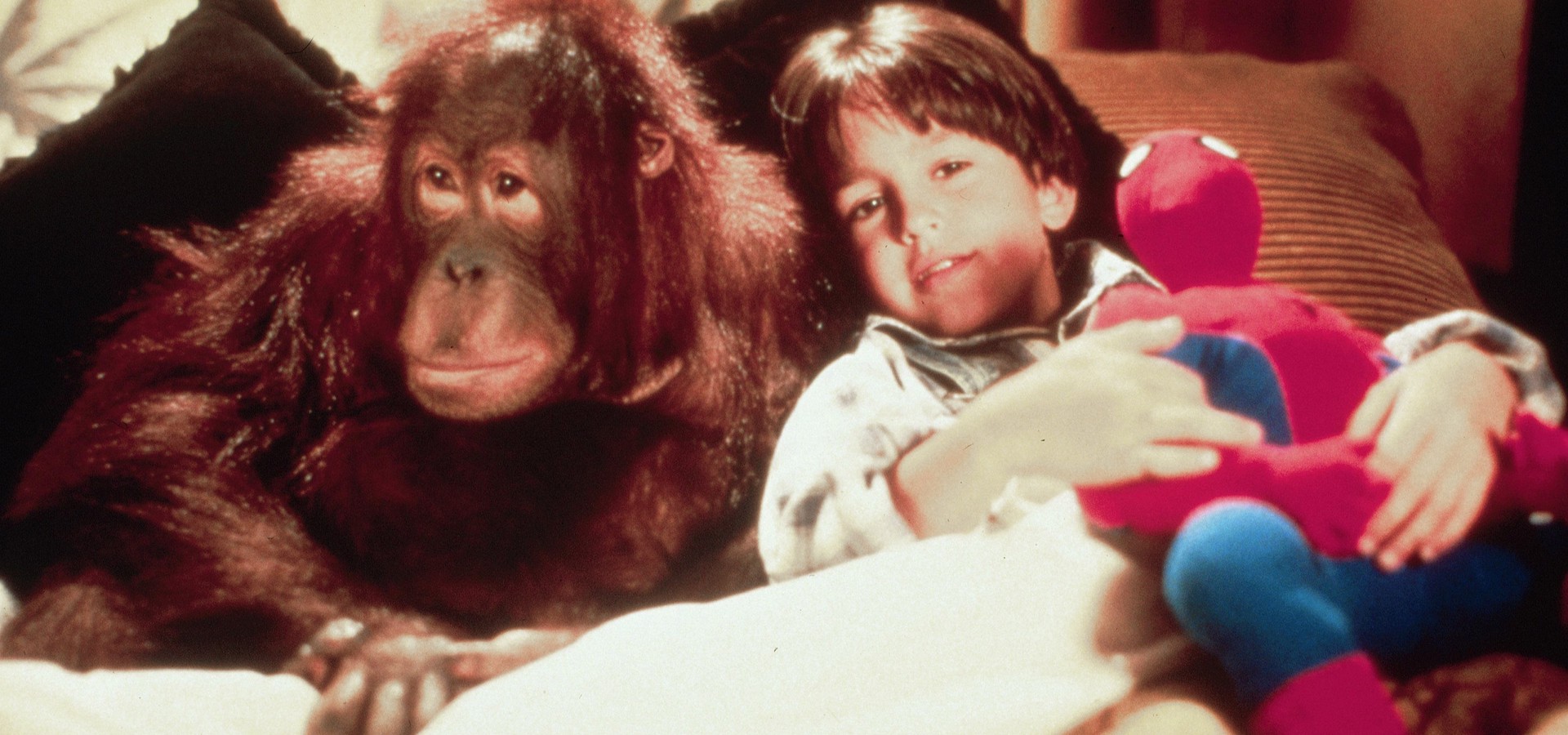 Dunston Checks In movie watch stream online