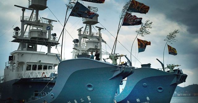 Jagdzeit - Den Walfängern auf der Spur