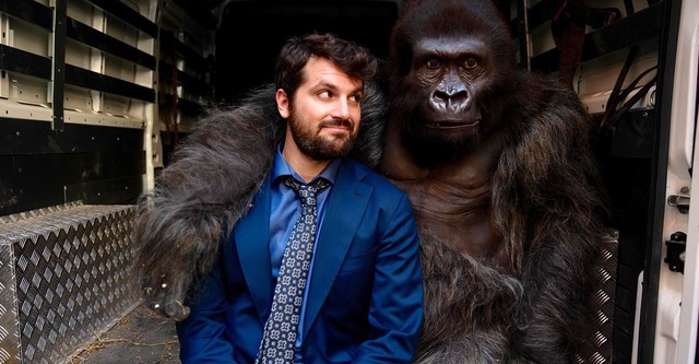 Se upp för gorillan