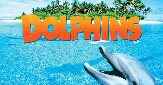 Dolphins