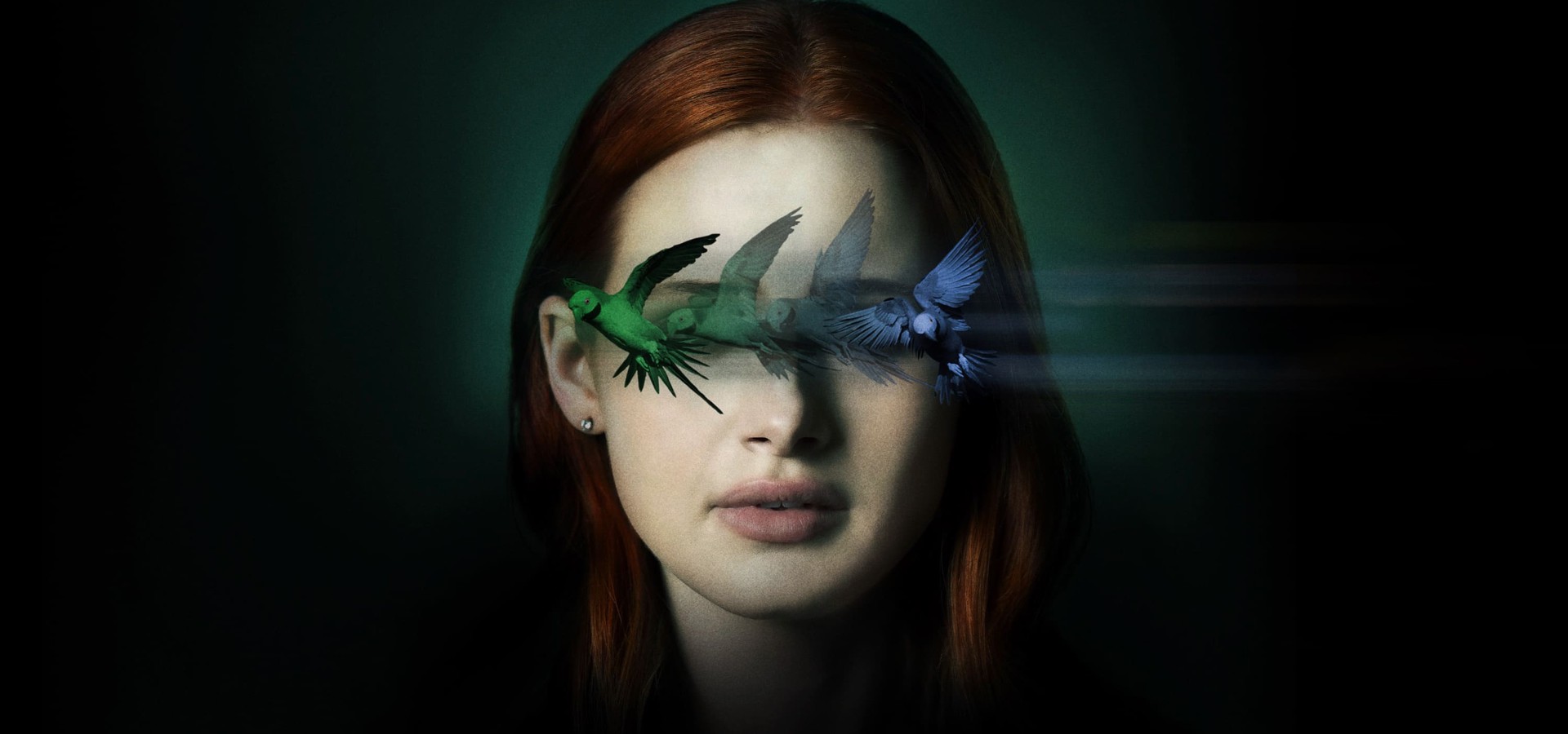 Sightless - película: Ver online completas en español