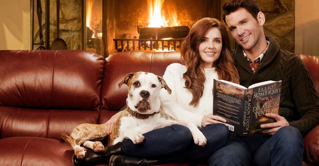 Winter Love Story movie: watch stream online