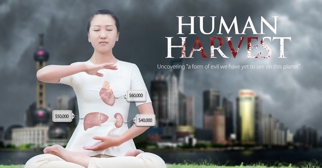 Human Harvest