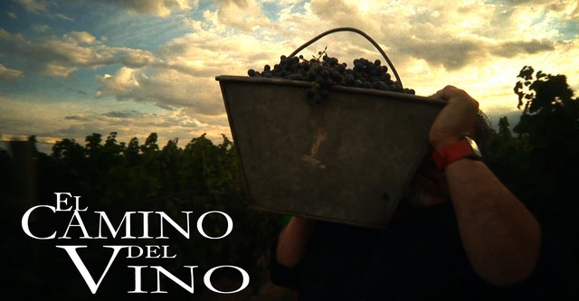 El camino del vino