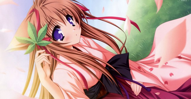 タユタマ -Kiss on my Deity-