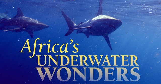 Africa's Underwater Wonders