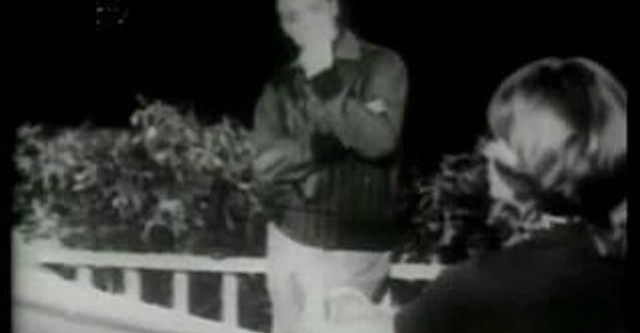 Adorável Trapalhão