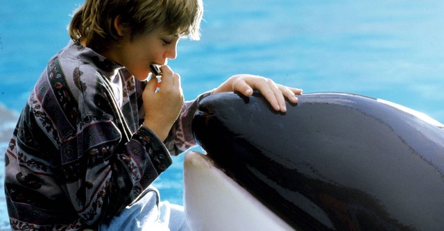 Liberad a Willy