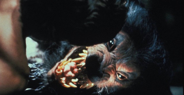 Howling V