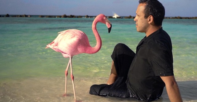 The Mystery of the Pink Flamingo