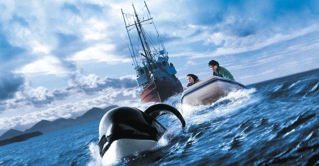 Free Willy 3 - Die Rettung