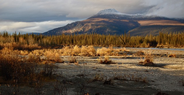 Arctic Daughter: A Lifetime of Wilderness