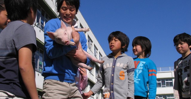 School Days with a Pig