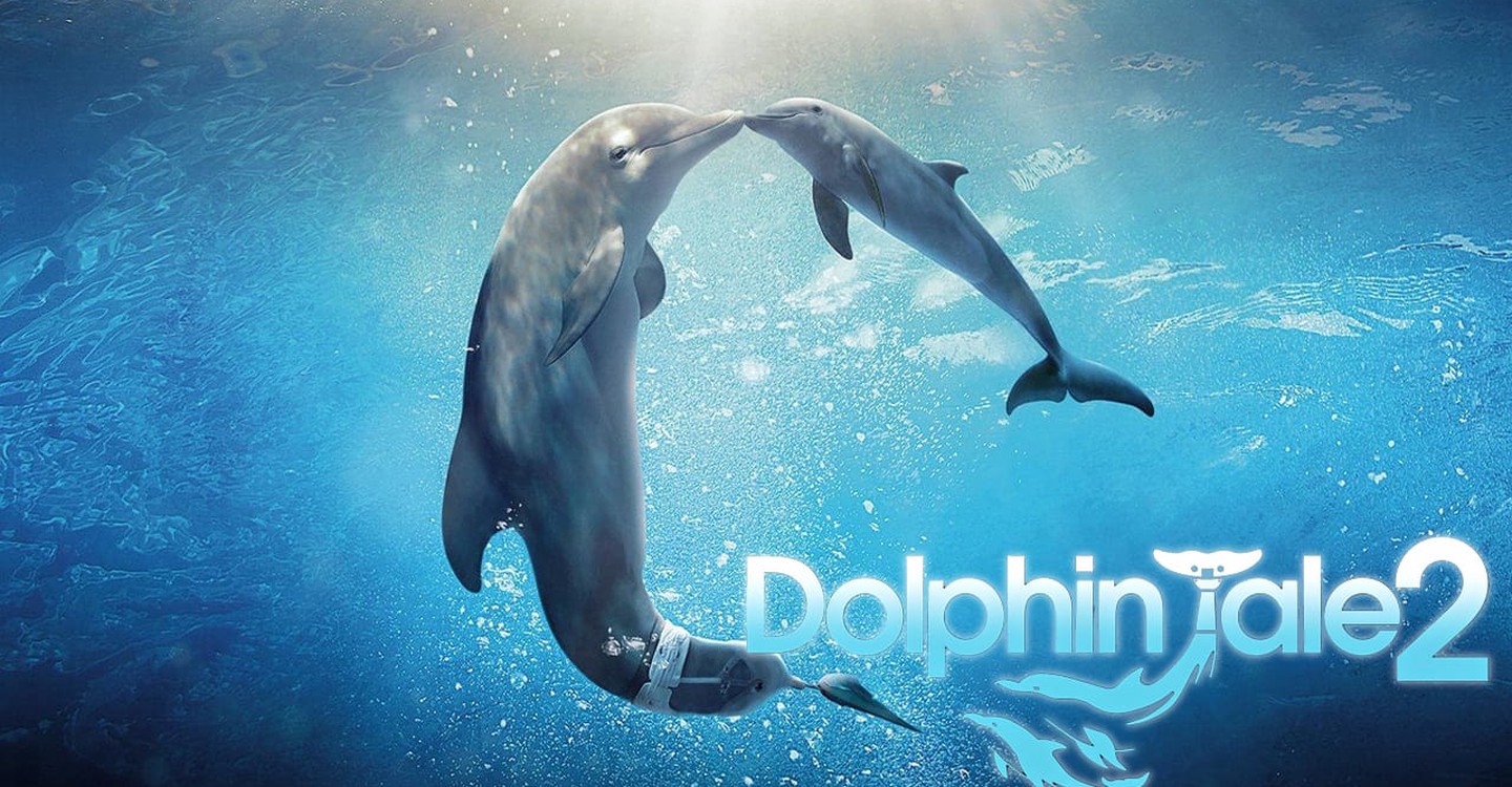 Общение дельфинов