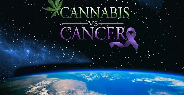 Cannabis vs. Cancer