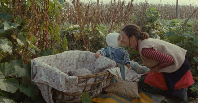 Gibt es zu Weihnachten Schnee