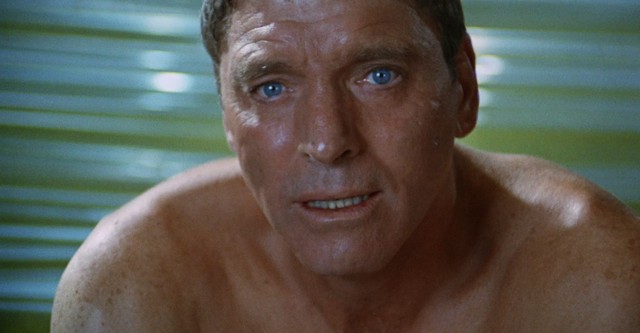 The Swimmer