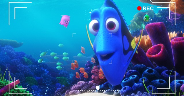 Dory s Reef Cam streaming where to watch online