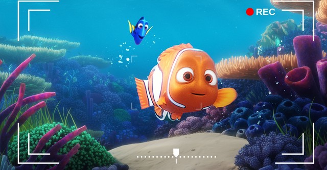 Dories Unterwasserkamera