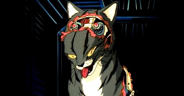 Robocat