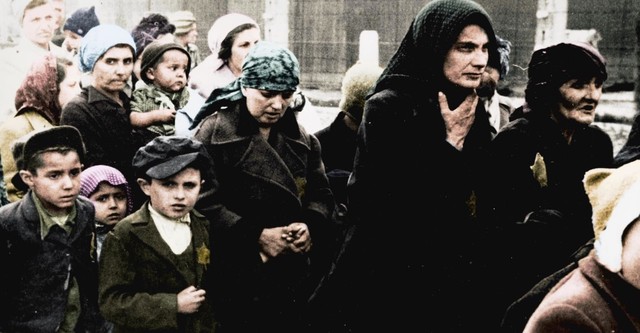 Auschwitz Untold: In Colour