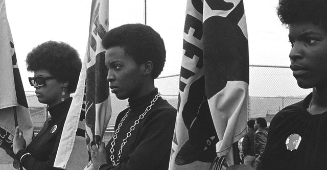 The Black Panthers: Vanguard of the Revolution