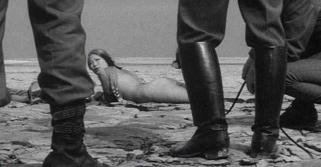 Japanese Summer: Double Suicide
