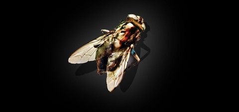 20 Great Date Night Movies for Horror Fans, According to Jeremy Jahns