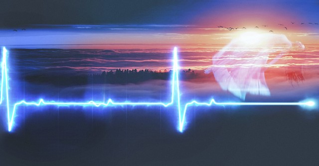 Supraviețuind morții