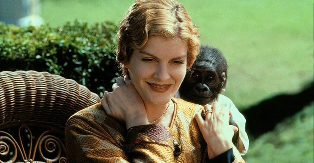 Buddy, o Chimpanzé