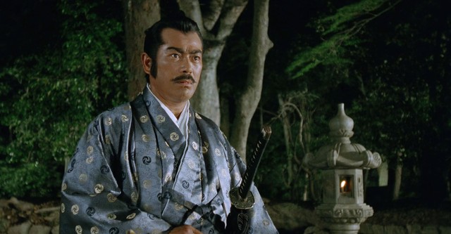 Der Schatten des Shogun