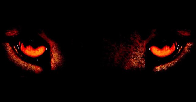 Σκιά Μέσα στο Σκοτάδι