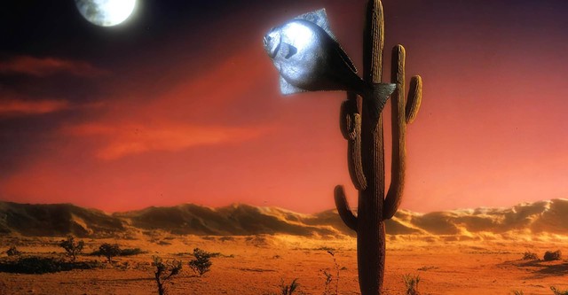 El sueño de Arizona