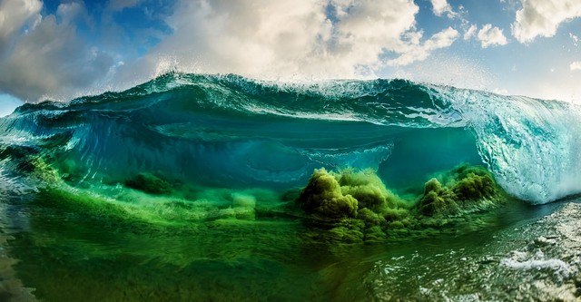 Shorebreak: The Clark Little Story