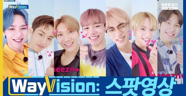WayVision