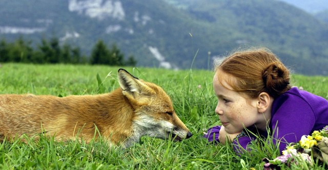 Der Fuchs und das Mädchen