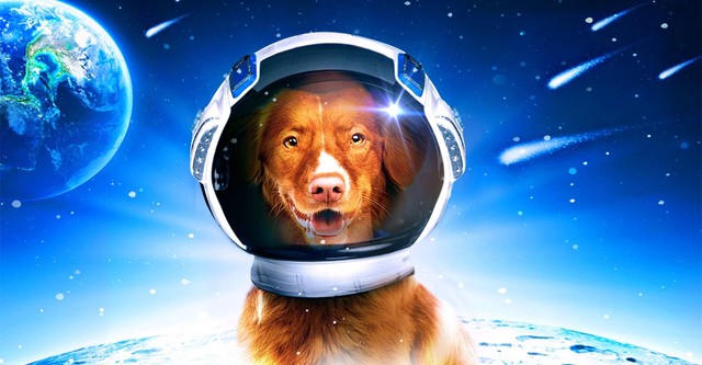 My Dog the Space Traveler