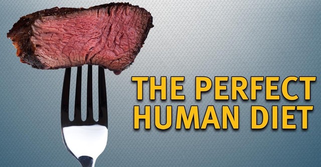 Die perfekte Diät (The Perfect Human Diet)