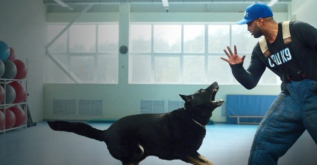 Dog Trainer - Scuola per cani