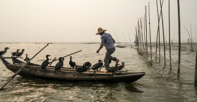 Langs de oevers van de Yangtze