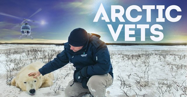 Vétérinaires de l'Arctique