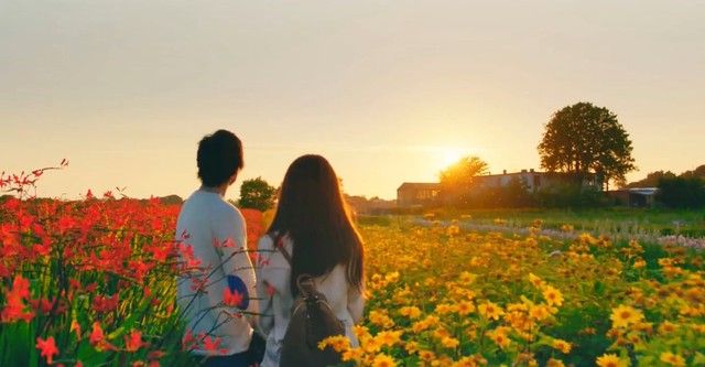 The hows of us full movie eng sub free download sale